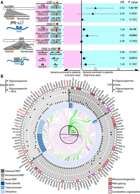 doitool|The landscape of RNA.